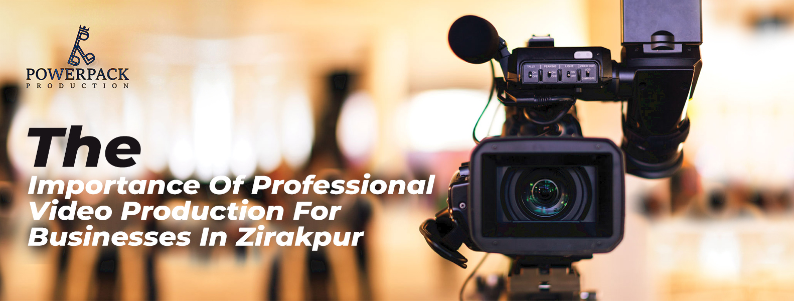 The Importance Of Professional Video Production For Businesses In Zirakpur 